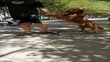 我不吃，我不喝，我就要游泳！