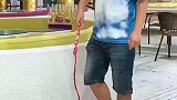 听说有人和我学骑马啊