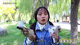 敌人拿队友威胁肉肉，没想肉肉捡到满配神装，双枪齐发成功灭敌