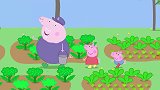 猪奶奶买好多玩偶，放在猪爷爷花园里，猪爷爷很不开心
