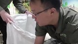 不好意思，让各位见笑了