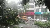 海南儋州市那大镇突发龙卷风 已造成8人死亡