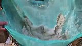 闽南农村制作木薯粉过程，去皮洗干净，然后搅碎，冲洗，沉淀