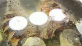 味道鲜美的鲫鱼汤