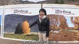 可可托海最有名的景点之一是夫妻树，地处边境还要办边防证