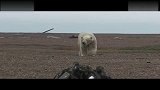 好摄之徒-20111216-超清震撼-北极库伯岛