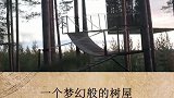 会隐形的树屋，你想来体验一下它的神奇之处吗