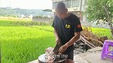 鸡肉吃了几十年,这种吃法头次见,吃上一次,真是人间美味