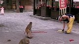 猴子太棒了