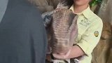 哈哈，大哥的心脏病差点复发了