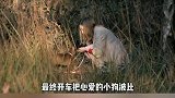 太励志！失业妹子靠流眼泪赚回人生第一桶金