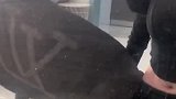 狗子陪主人拍照，却把屁股对着主人