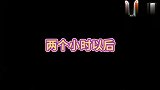 女主人拍视频偷懒,金毛和德牧联合起来整蛊,结局太搞笑了
