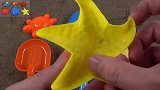 玩沙子，海龟和海星玩具，沙子玩具，认识海洋动物，英语儿歌