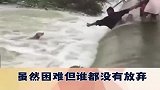 感人一幕：狗狗被冲进急流后，众人冒险手拉手把狗狗拉上了岸