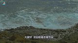 台湾经济最发达的台北市，在大陆相当于几线城市？太真实了