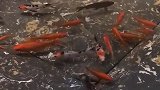请带着坚持努力成长！