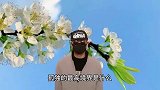 孤独的最高境界，懂得“享受”，是内心在欺骗自己