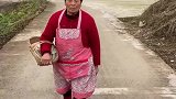 看来还是算了