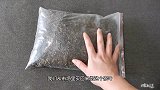 茶叶应该放冰箱冷冻还是冷藏？多亏专业批发商告诫，涨知识了