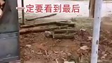 碳化炉，一定要看到最后