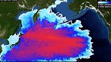 太平洋沦为“日本下水道”！计算机模拟福岛核废水扩散全过程
