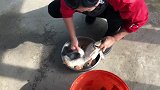 农民王小：秋收全家动起来，美食一样不能少，个个东北特色菜馋人