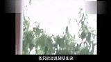 搞笑-20120321-南大爆笑恶搞配音《大学那点事儿》