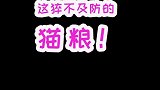 这波猫粮，吃的我猝不及防！宠爱里云社区 vlog日常
