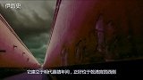 故宫养心殿为何长年潮湿阴冷，专家掀开地砖后，当场被吓到