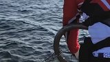 目标鱼黄条鰤，其实就是青甘