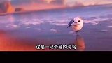 看着模样呆萌又可爱，却是一只捕食神鸟