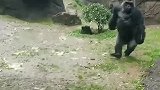 这就是出门不带伞的下场