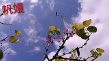活的糊涂的人容易幸福 活的清醒的人容易烦恼