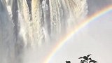 津巴布韦双彩虹的维多利亚瀑布