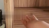 家里的重大发现