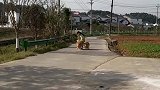 差啥给我往家整啥，可真是我的好大哥好二哥