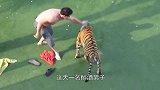 醉酒男子和老虎较量，场面非常激烈，路人拍下精彩镜头