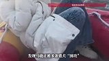 游客称长白山马鹿遭多条猎犬围攻，“马鹿踢开一条猎犬，从我身上越过”