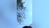 全程高能，搞笑有趣失误2020