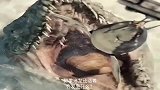 如果沧龙还活着，会发生什么