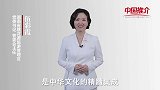 《中国推介》桃花源：中华文化的精髓集成地