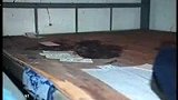 男子找工作无果 饥饿难忍持刀抢劫伤人-4月25日