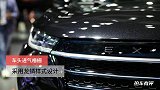星途TXTX-L，车头进气格栅，采用龙鳞样式设计