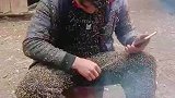 头发剃光衣服裤子就不要了吧，密恐者勿入