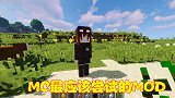 MC模组千奇百怪，这两种最应该尝试，大大提升游戏乐趣