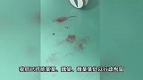 因劝阻游客不要乱扔烟雾棒，68岁老人被殴打，警方：3人被行拘