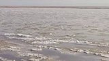 12月15日，黄河朵朵冰花开！受持续降温影响，黄河韩城段 现壮美流凌，最高密度达20％。