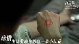 盘点《送你一朵小红花》里那些催人泪下的情节和台词