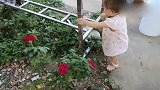 路边的花儿碰到我们家宝宝真是遭殃了啊，看到了就想动手去摘掉